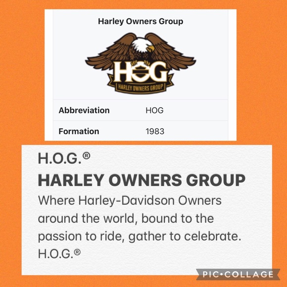 NEW HOG 🏍 ROCKER PATCH & PIN SETS - collectors - Picture 3 of 10